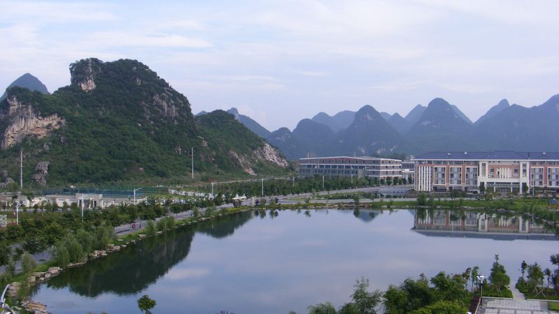 电容器规格尺寸揭秘：揭秘电子元件中的“心脏