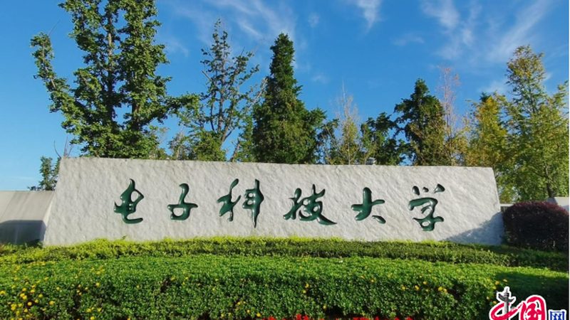 电子设计开发板：主流型号分类解析**